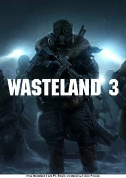 Wasteland 3