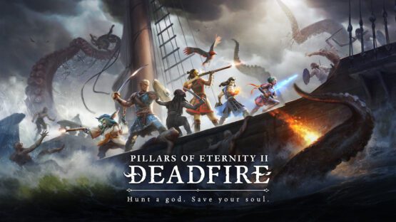 buy Pillars of eternity 2 cheap - gamers galaxy